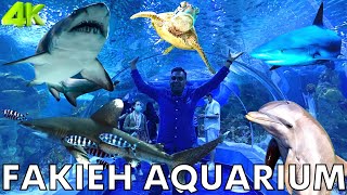 Aquarium In Saudi Arabia  Fakieh Aquarium In Jeddah  Aquarium Fish  Jeddah Saudi Arabia 4K Video [upl. by Jarad683]