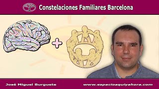 INTEGRAR BIODESCODIFICACION Y CONSTELACIONES FAMILIARES [upl. by Elocel328]