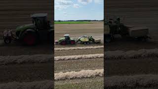 CLAAS XERION 4200 mit KRONE BiGPACK 1290 amp BaleCollect am Quaderballenpressen [upl. by Ethel]