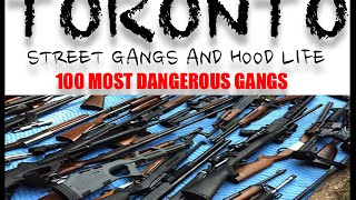 Toronto Street Gangs  100 Most Dangerous Gangs  REAL CANADA [upl. by Annohs]