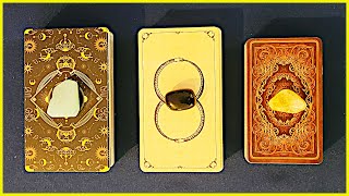 Pick A Card Tarot Reading  November 410 Weekly Messages [upl. by Leksehc749]