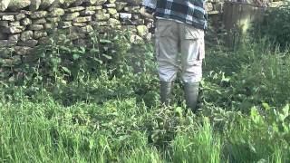 Strimming the Nettles amp Weeds on the Hay Meadow for use in the Compost Heap [upl. by Rozina]