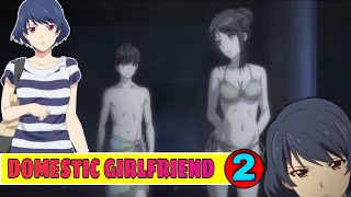 Domestic Girlfriend season 1 Episode 2 in hindi  Anime explanation in hindi  CARRY ANIME [upl. by Boor]