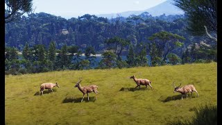 Way of the Hunter Matariki Park DLC Release Trailer [upl. by Lumbye]