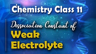 Dissociation Constant of Weak Electrolyte  Chemical Equilibrium  Chemistry Class 11 [upl. by Anahsohs]