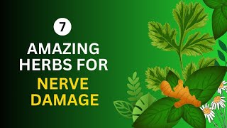 nerve damage  nerve damage repair  reverse nerve damage  nerve damage treatment [upl. by Letnuahs400]