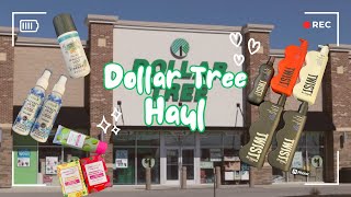 Dollar Tree Haul  May 2024 [upl. by Rosetta]