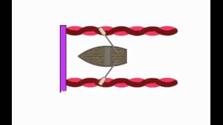 Actin and Myosin Action [upl. by Noira]