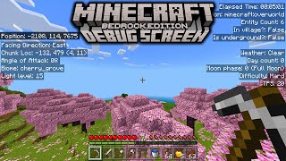 NEW F3 Debug Screen Addon for Minecraft Bedrock EditionMCPE [upl. by Eelyab]