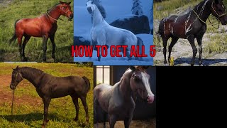 How To Get All 5 Arabian Horses In Red Dead Redemption 2 Spoilers [upl. by Odine733]