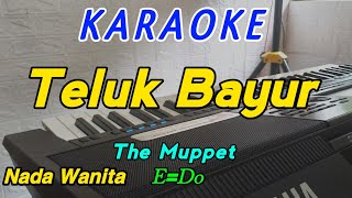 Teluk BayurKaraokeThe MuppetNada Wanita [upl. by Uttasta402]