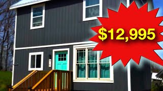 Buy This Tiny House for only 12995 [upl. by Canning432]