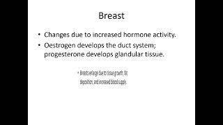 Physiological Changes During Pregnancy [upl. by Aneral909]