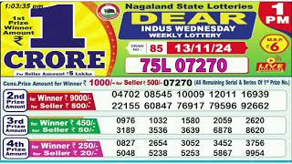 NAGALAND Lottery SAMBAD DEAR EVENING 1PM RESULT TODAY 13112024 STATE DEAR LOTTER [upl. by Faydra92]