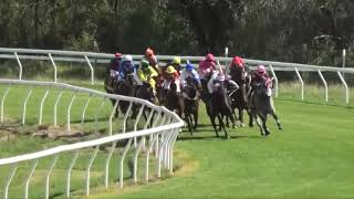 Goondiwindi 20231202 Race 3 [upl. by Nace]