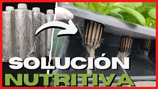 SOLUCIÓN NUTRITIVA para HIDROPONIA CASERA ✅ [upl. by Dinesh980]