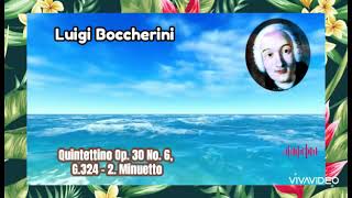 Quintettino Op 30 No 6 G324  2 Minuetto Luigi Boccherini Herson Natural [upl. by Edroi]