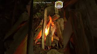 Building a Shelter and Cooking in the Great Outdoors SurvivalSkills CampingLife CampfireCooking [upl. by Adyam786]