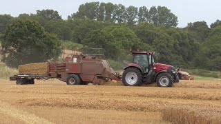 baling and straw stacking at wenhaston suffolk uk  5th aug 2024 [upl. by Yehs]