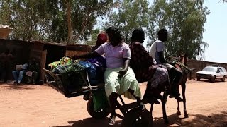 La frontière SénégalGambie paralysée par des transporteurs [upl. by Notfa357]