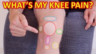 Why Your Knee Hurts Knee Pain Types By Location amp Description [upl. by Helbonnas]