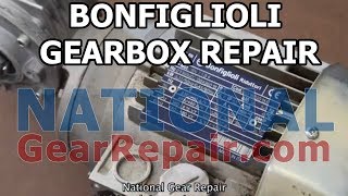 BonFiglioli Gearbox Repair [upl. by Enihsnus]