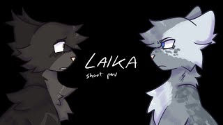 LAIKA  gray wing amp clear sky pmv [upl. by Katee]