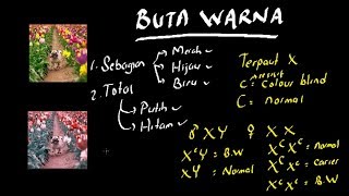 PERSILANGAN BUTA WARNA LENGKAP  GENETIKA [upl. by Neyuq307]