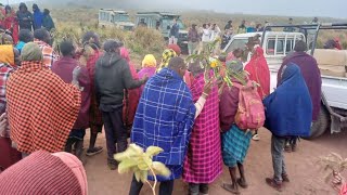 NGORONGORO KUMEKUCHA SAMIA UKO WAPI UNYANYAZAJI UMEZIDI KWA WANANCHI WA NGORONGORO [upl. by Arod]