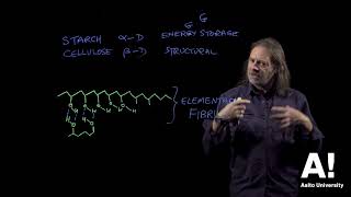 Wood chemistry 6 starch and cellulose Hbonding [upl. by Radcliffe]