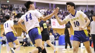 「春高バレー」東京代表決まる 優勝は男子・駿台学園、女子・下北沢成徳 [upl. by Harberd]