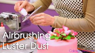 How to Use Luster Dust with an Air Brush on a Cake [upl. by Naujled]