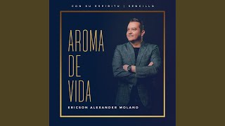 Aroma de Vida Versión Radio [upl. by Adelaja]