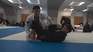 Mica Galvão and Diego Sodre Train Before IBJJF Euros [upl. by Montague17]