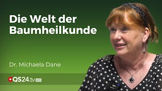 Die Heilkraft der Bäume Alte Weisheiten für moderne Gesundheit  Erfahrungsmedizin  QS24 [upl. by Vihs]