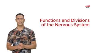 Functions and Divisions of the Nervous System [upl. by Jacquetta]