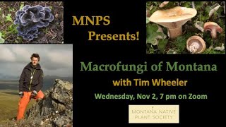 MNPS Presents Macrofungi of Montana [upl. by Profant]