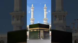 Hairat Se Khud Ko Kabhi Dekhta Hu  Allahu Akbar Beautiful StatusQari RiyazuddinNaat Collections [upl. by Gathers]