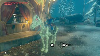 Can You Register a Stalhorse in BOTW [upl. by Lemraj486]