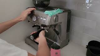 Breville Barista Express Espresso Machine BES870XL  How to CLEAN ME and Change Filter [upl. by Aliuqehs54]