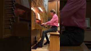 Bruhns Praeludium organ musician prelude bruhns classicalmusic fyp foryou viralvideoshorts [upl. by Coryden]