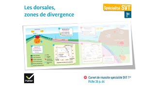 eSVT La dorsale et la production de magma basaltique [upl. by Willetta]