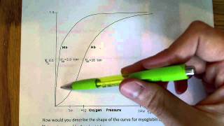 Hemoglobin and myoglobin oxygen binding curve explanation part 1 [upl. by Ube]