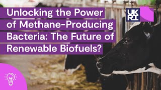 Unlocking the Power of MethaneProducing Bacteria The Future of Renewable Biofuels [upl. by Cita]