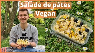 Recette Vegan  Salade de pâtes pimprenelle et jeta [upl. by Yrahca]