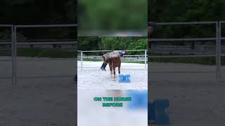 First time mounting a young horse younghorse coltstarting horsetraining horseriding [upl. by Hermon]