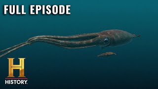 MonsterQuest GIANT SQUID DISCOVERED S1 E3  Full Episode [upl. by Dranyer]