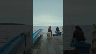 quotManchester by the seaquot manchesterbythesea depresion movies viral cine short manchester [upl. by Pheni]