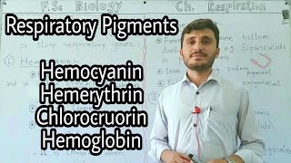 Respiratory Pigments  Haemoglobin  Hemocyanin  Hemerythrin  Chlorocruorin [upl. by Cassell]