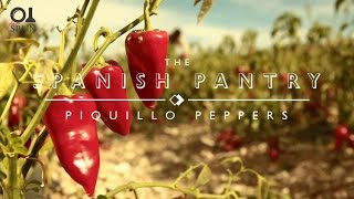 The Spanish Pantry Piquillo Peppers [upl. by Icyac561]